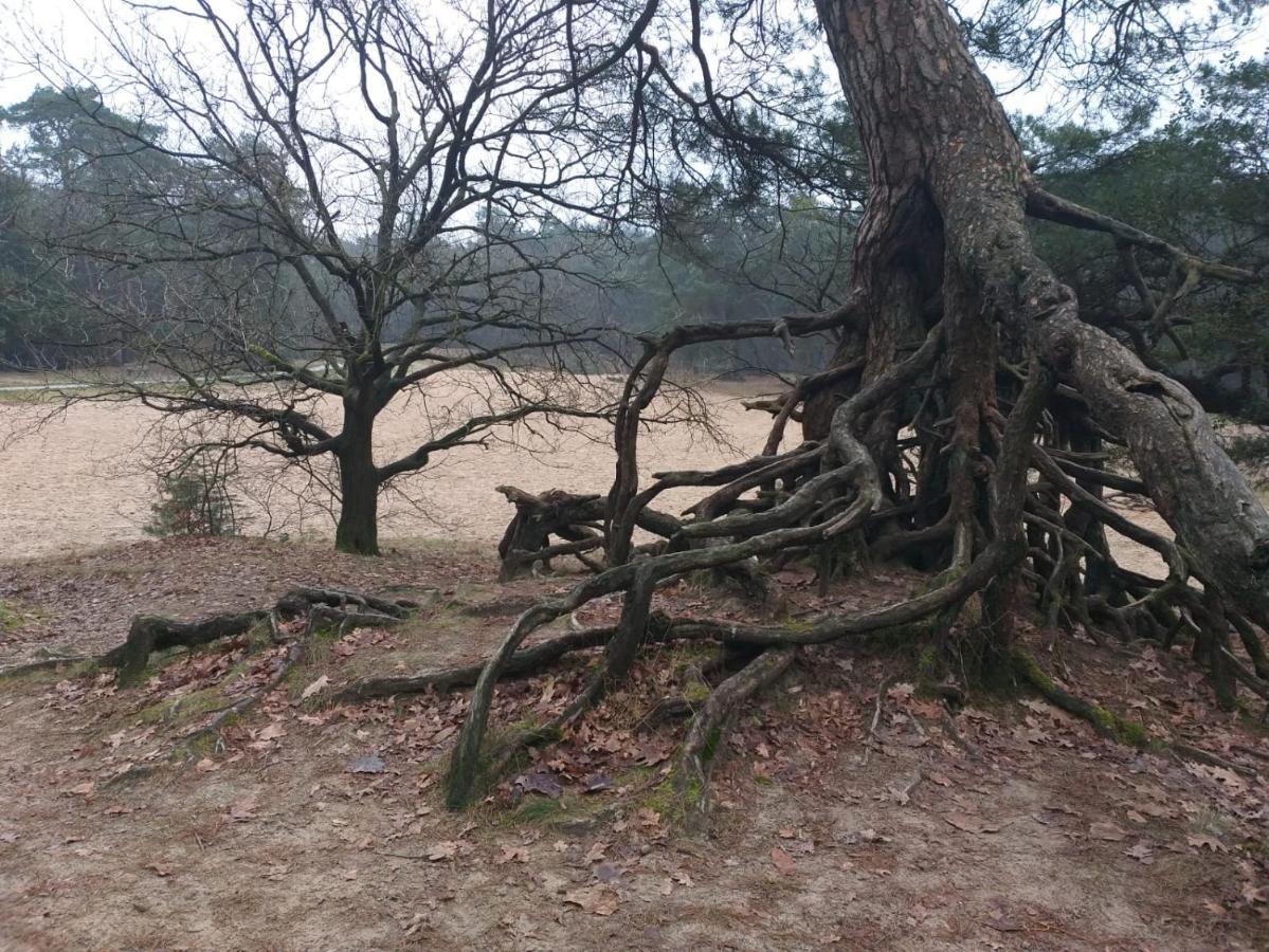 Vakantieverhuur Bienvenue Bojil Buitenkant foto